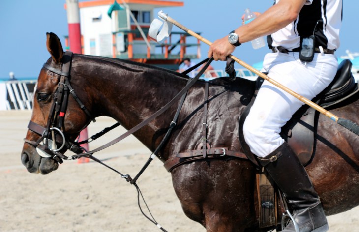 IMG_6810 - Version 2