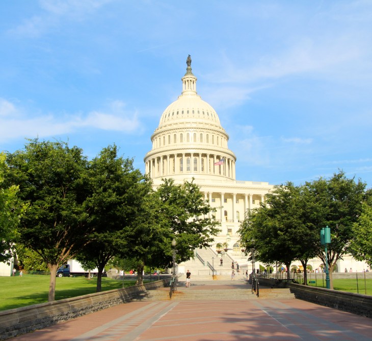 IMG_8398 - Version 2