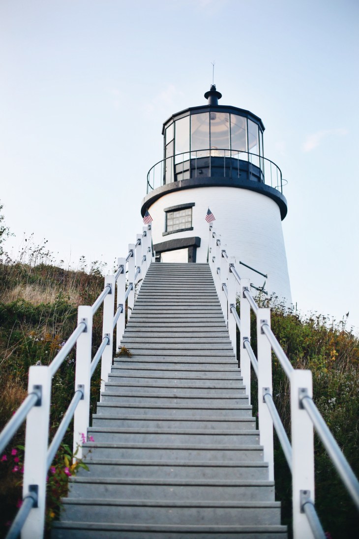 Processed with VSCO with a6 preset