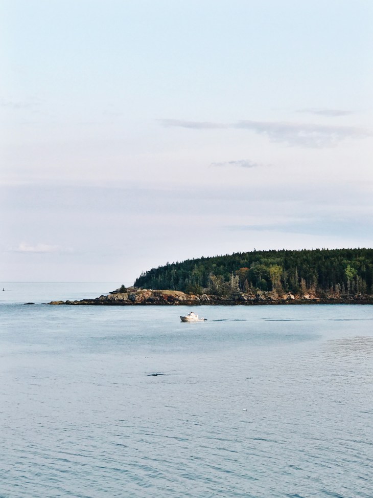 Processed with VSCO with a6 preset