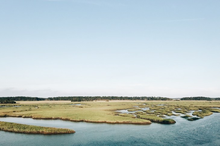 Processed with VSCO with a6 preset