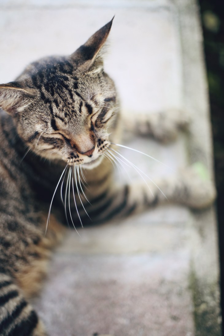 Processed with VSCO with m6 preset