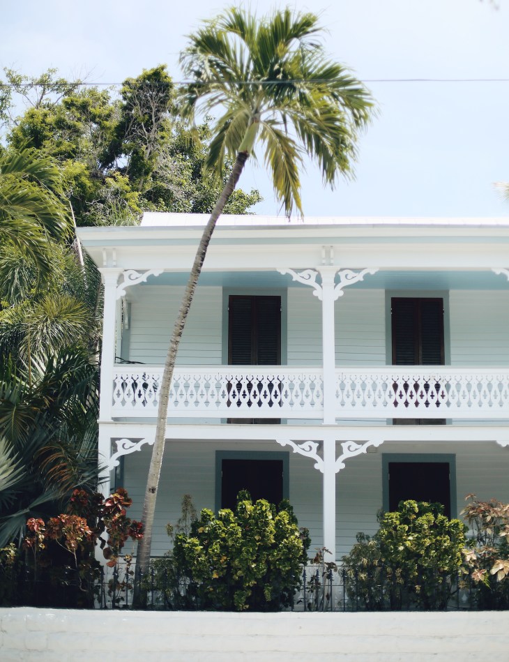 Processed with VSCO with m6 preset