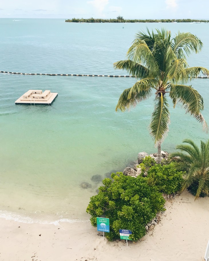 Processed with VSCO with m6 preset