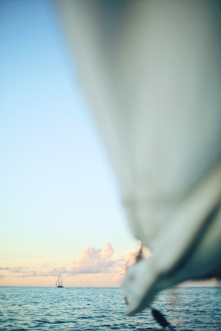 Processed with VSCO with m6 preset