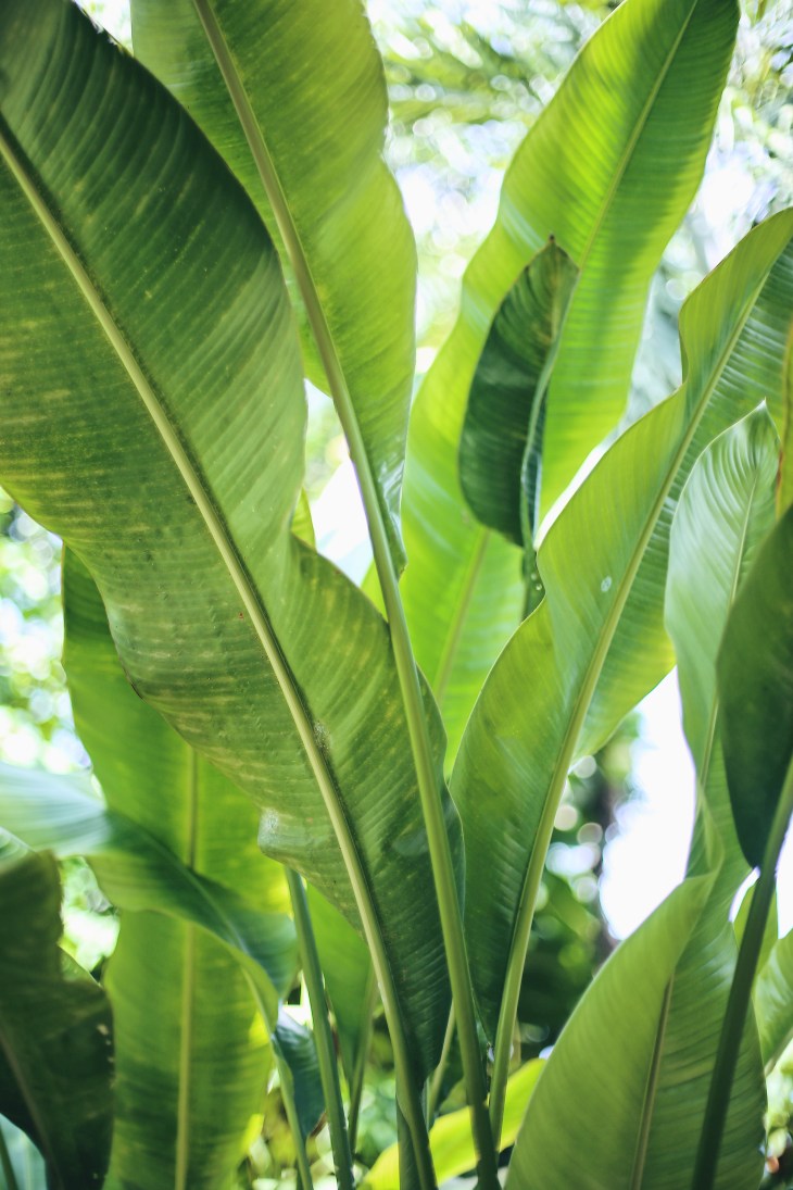 Processed with VSCO with m6 preset