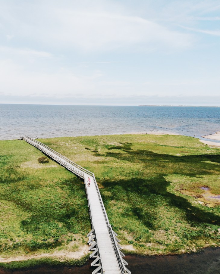 Processed with VSCO with a6 preset