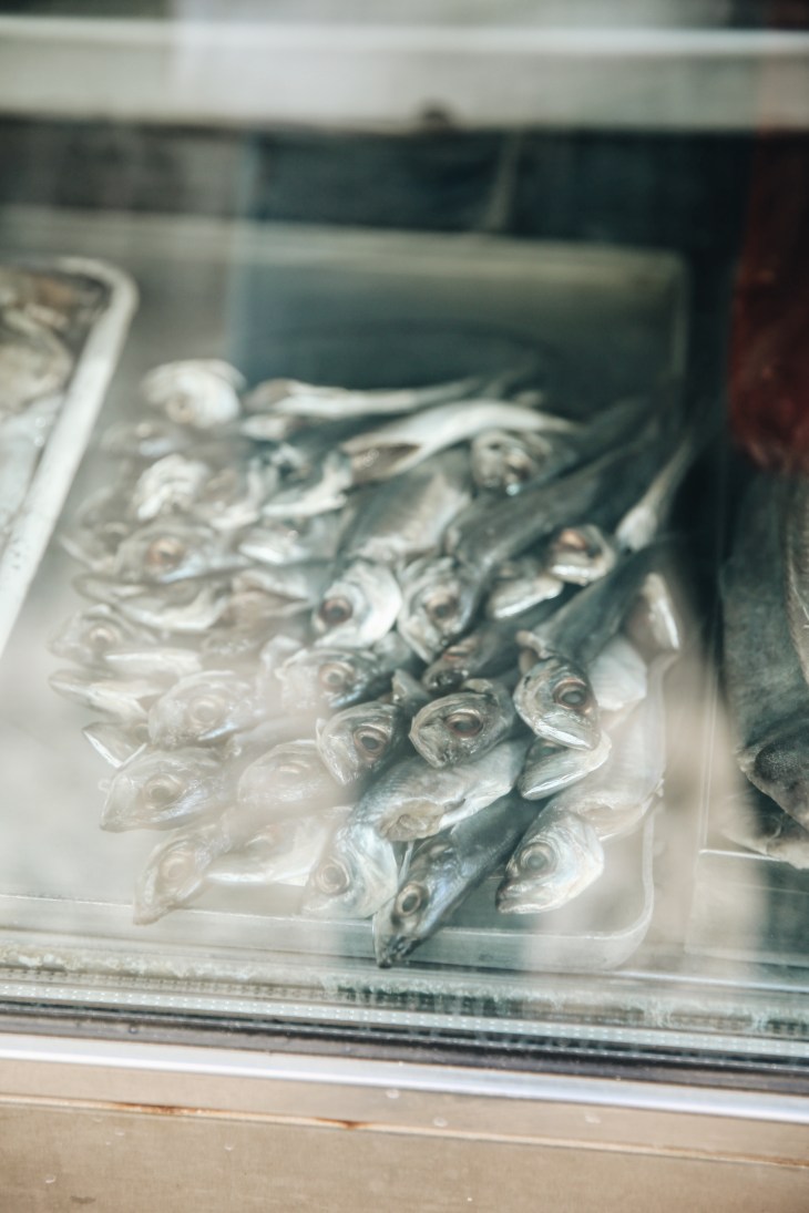 Processed with VSCO with a6 preset