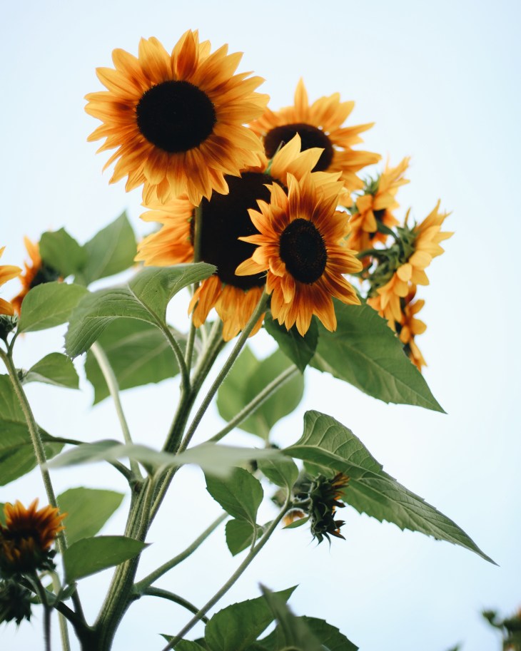 Processed with VSCO with a6 preset