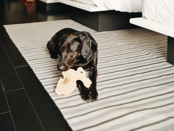 Processed with VSCO with a6 preset